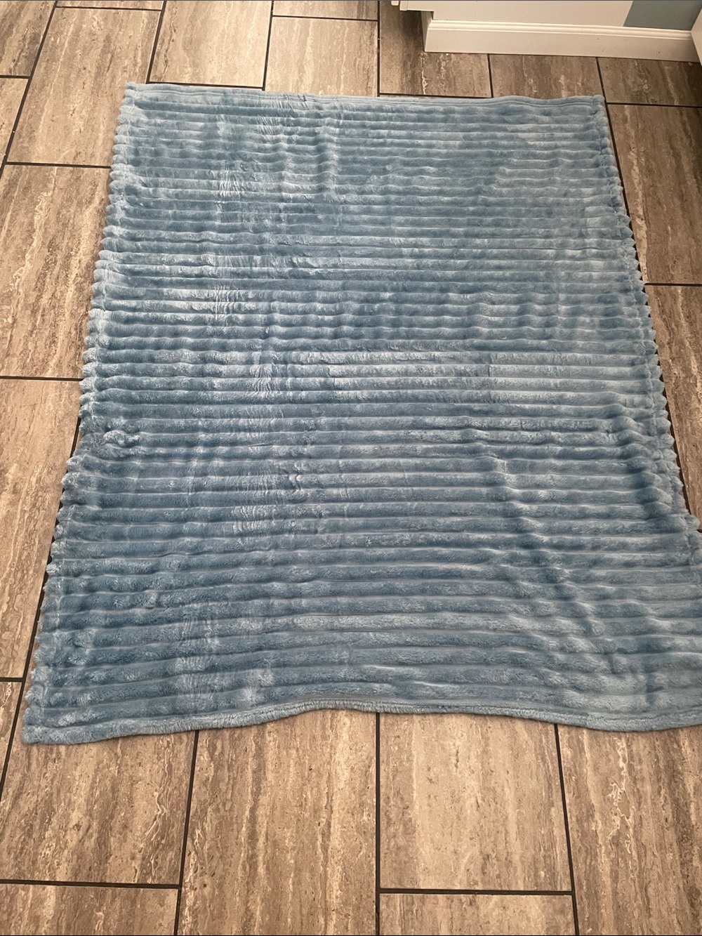 NWT fleece blanket